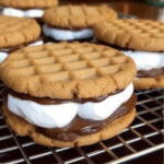 Peanut Butter S'mores Sandwich Cookies